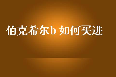 伯克希尔b 如何买进_https://wap.fcdydaikuan.com_新股数据_第1张