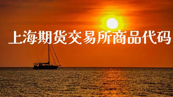 上海期货交易所商品代码_https://wap.fcdydaikuan.com_金融机构_第1张
