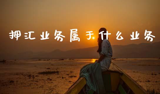 押汇业务属于什么业务_https://wap.fcdydaikuan.com_新股数据_第1张