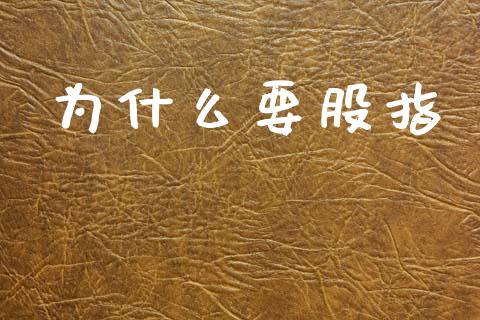 为什么要股指_https://wap.fcdydaikuan.com_新股数据_第1张