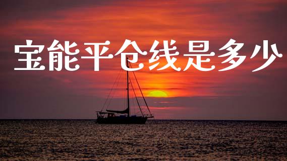 宝能平仓线是多少_https://wap.fcdydaikuan.com_期货品种_第1张