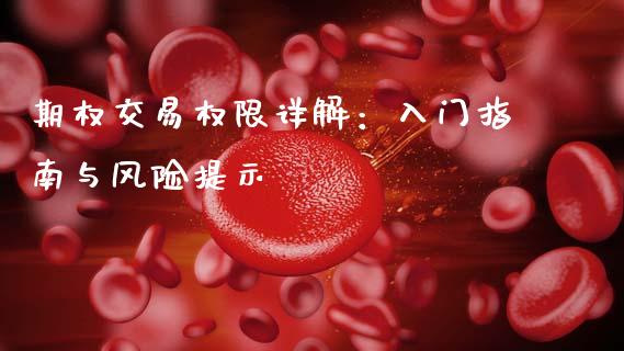 期权交易权限详解：入门指南与风险提示_https://wap.fcdydaikuan.com_理财顾问_第1张