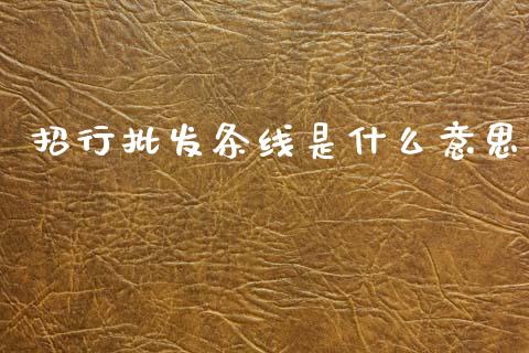 招行批发条线是什么意思_https://wap.fcdydaikuan.com_投资策略_第1张
