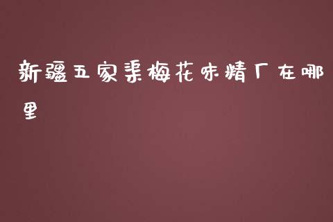 新疆五家渠梅花味精厂在哪里_https://wap.fcdydaikuan.com_新股数据_第1张
