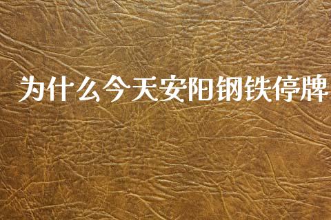 为什么今天安阳钢铁停牌_https://wap.fcdydaikuan.com_金融机构_第1张