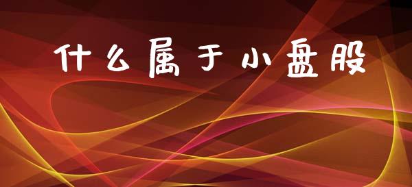 什么属于小盘股_https://wap.fcdydaikuan.com_期货品种_第1张