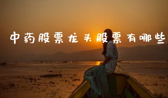 中药股票龙头股票有哪些_https://wap.fcdydaikuan.com_国际投资_第1张