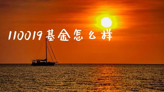 110019基金怎么样_https://wap.fcdydaikuan.com_期货品种_第1张