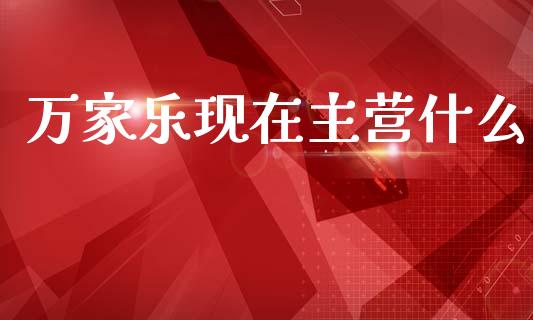 万家乐现在主营什么_https://wap.fcdydaikuan.com_投资策略_第1张