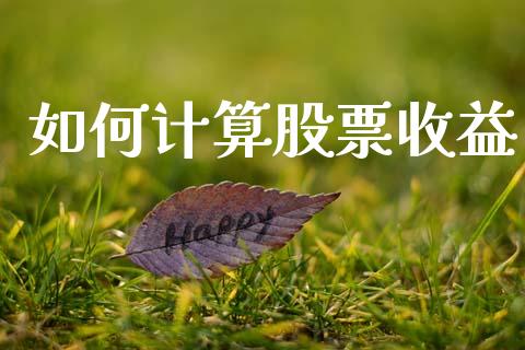 如何计算股票收益_https://wap.fcdydaikuan.com_理财顾问_第1张
