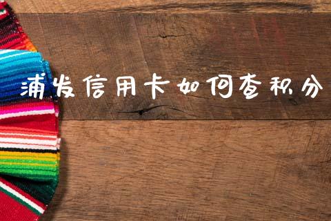 浦发信用卡如何查积分_https://wap.fcdydaikuan.com_期货品种_第1张