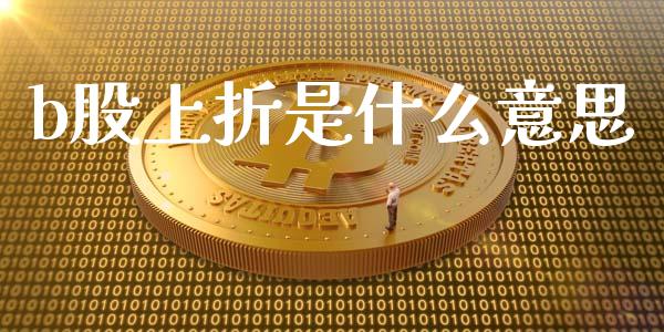 b股上折是什么意思_https://wap.fcdydaikuan.com_理财顾问_第1张