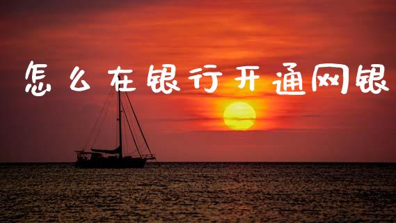 怎么在银行开通网银_https://wap.fcdydaikuan.com_新股数据_第1张