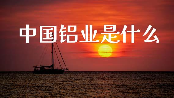 中国铝业是什么_https://wap.fcdydaikuan.com_投资策略_第1张
