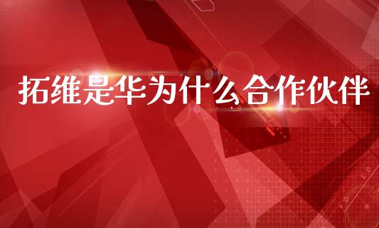 拓维是华为什么合作伙伴_https://wap.fcdydaikuan.com_投资策略_第1张