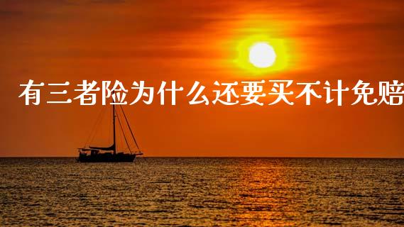 有三者险为什么还要买不计免赔_https://wap.fcdydaikuan.com_理财顾问_第1张