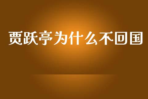贾跃亭为什么不回国_https://wap.fcdydaikuan.com_理财顾问_第1张