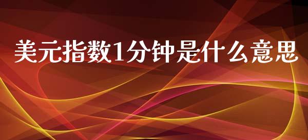 美元指数1分钟是什么意思_https://wap.fcdydaikuan.com_期货品种_第1张