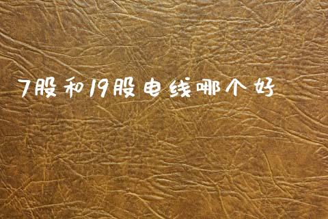7股和19股电线哪个好_https://wap.fcdydaikuan.com_投资策略_第1张