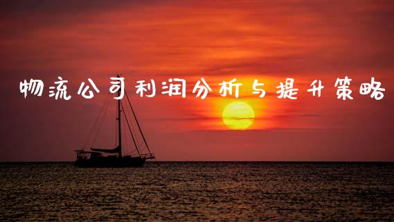 物流公司利润分析与提升策略_https://wap.fcdydaikuan.com_理财顾问_第1张