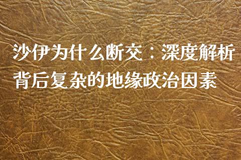 沙伊为什么断交：深度解析背后复杂的地缘政治因素_https://wap.fcdydaikuan.com_新股数据_第1张