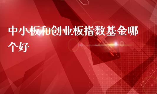 中小板和创业板指数基金哪个好_https://wap.fcdydaikuan.com_金融机构_第1张