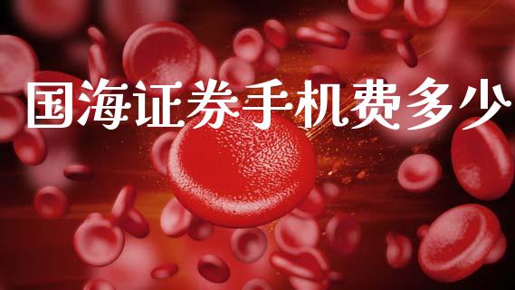 国海证券手机费多少_https://wap.fcdydaikuan.com_新股数据_第1张