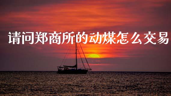 请问郑商所的动煤怎么交易_https://wap.fcdydaikuan.com_国际投资_第1张