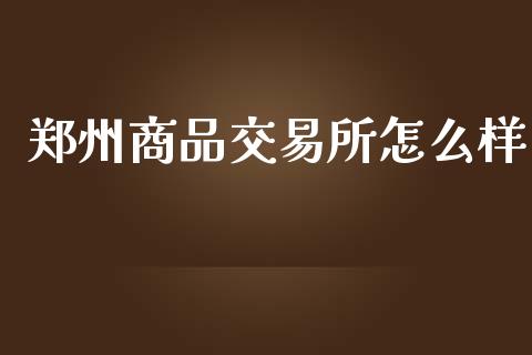 郑州商品交易所怎么样_https://wap.fcdydaikuan.com_国际投资_第1张