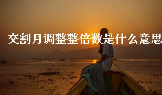 交割月调整整倍数是什么意思_https://wap.fcdydaikuan.com_国际投资_第1张