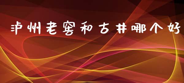 泸州老窖和古井哪个好_https://wap.fcdydaikuan.com_理财顾问_第1张