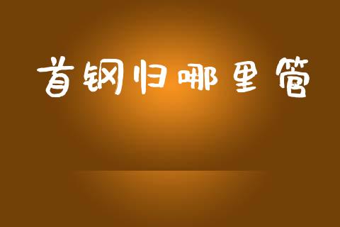 首钢归哪里管_https://wap.fcdydaikuan.com_投资策略_第1张