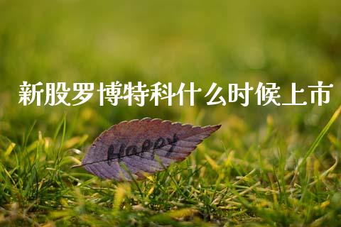 新股罗博特科什么时候上市_https://wap.fcdydaikuan.com_新股数据_第1张