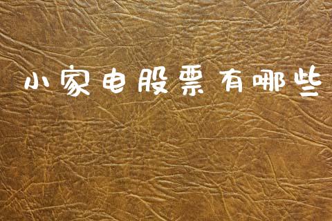 小家电股票有哪些_https://wap.fcdydaikuan.com_投资策略_第1张