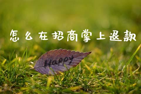 怎么在招商掌上退款_https://wap.fcdydaikuan.com_理财顾问_第1张