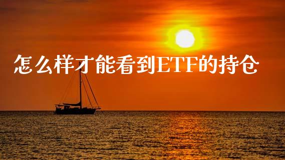怎么样才能看到ETF的持仓_https://wap.fcdydaikuan.com_国际投资_第1张