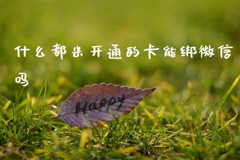 什么都米开通的卡能绑微信吗_https://wap.fcdydaikuan.com_期货品种_第1张