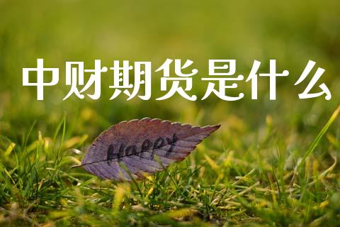 中财期货是什么_新股数据_第1张_国际投资_理财顾问_投资策略_金融机构 中财期货是什么_https://wap.fcdydaikuan.com_新股数据_第1张
