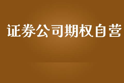 证券公司期权自营_https://wap.fcdydaikuan.com_投资策略_第1张