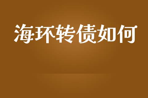 海环转债如何_https://wap.fcdydaikuan.com_新股数据_第1张