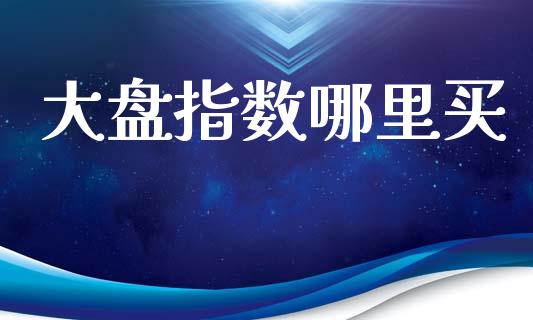 大盘指数哪里买_https://wap.fcdydaikuan.com_国际投资_第1张