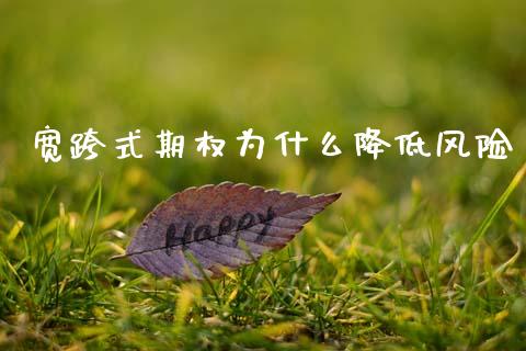 宽跨式期权为什么降低风险_https://wap.fcdydaikuan.com_理财顾问_第1张