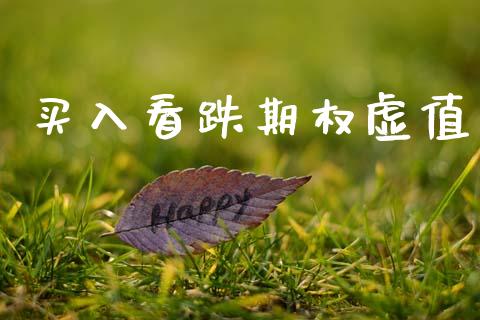 买入看跌期权虚值_https://wap.fcdydaikuan.com_新股数据_第1张