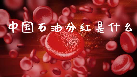 中国石油分红是什么_https://wap.fcdydaikuan.com_投资策略_第1张