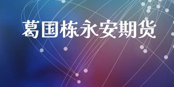 葛国栋永安期货_https://wap.fcdydaikuan.com_理财顾问_第1张