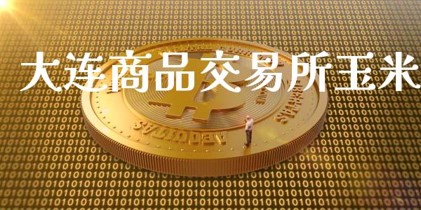大连商品交易所玉米_https://wap.fcdydaikuan.com_期货品种_第1张