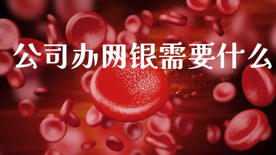 公司办网银需要什么_https://wap.fcdydaikuan.com_理财顾问_第1张