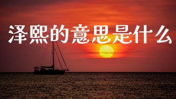 泽熙的意思是什么_https://wap.fcdydaikuan.com_国际投资_第1张