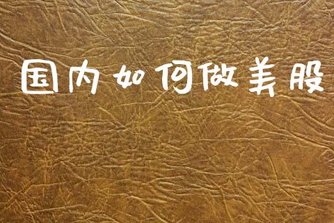 国内如何做美股_https://wap.fcdydaikuan.com_国际投资_第1张