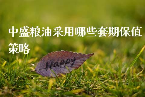 中盛粮油采用哪些套期保值策略_https://wap.fcdydaikuan.com_新股数据_第1张